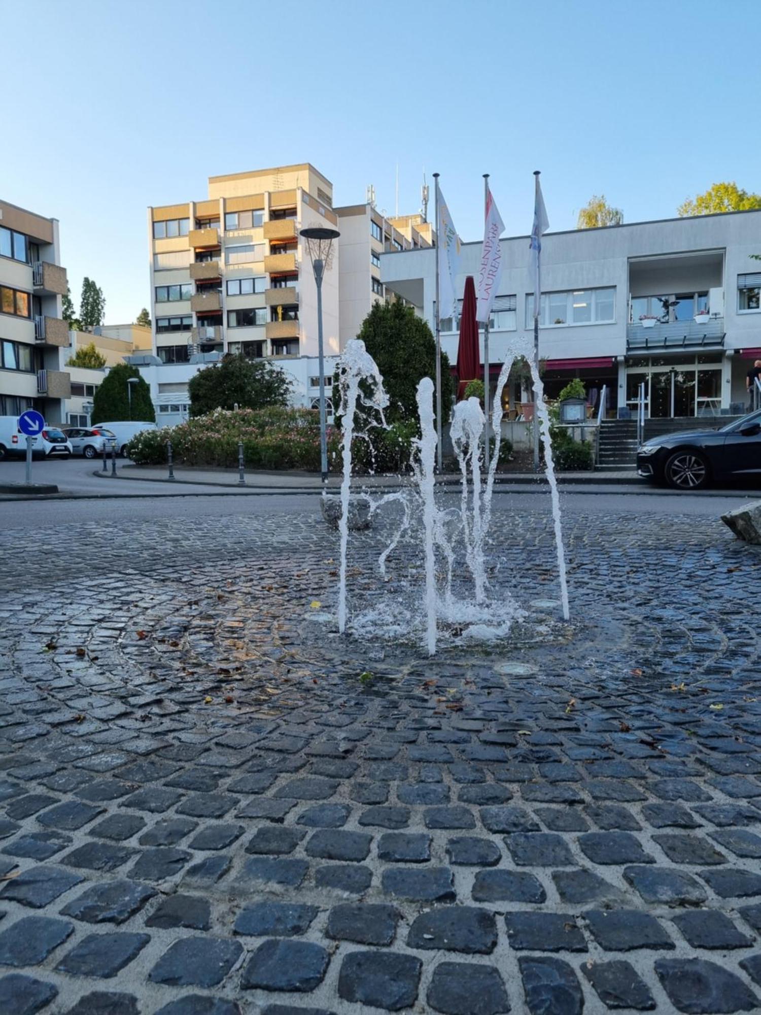 Hotel Am Rosenpark Aachen Bagian luar foto